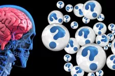 Illustration av skelett med hjärna som tittar på bubblor med frågetecken. Illustration