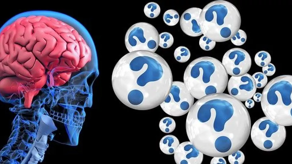 Illustration av skelett med hjärna som tittar på bubblor med frågetecken. Illustration